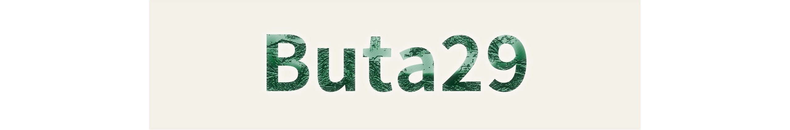 Buta29 チャンネルのバナー